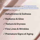 Hydration Multiplier Hyaluronic Acid Serum, , hi-res