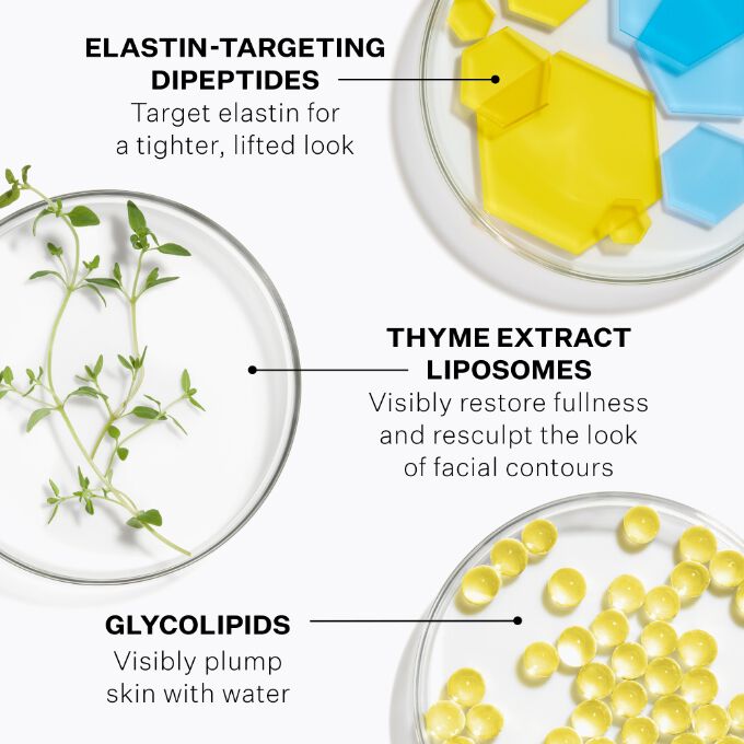 Contour Restore Face Cream | Moisturizers | Strivectin US