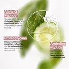 Peptide Plump™ Collagen Cushion Cream, , hi-res
